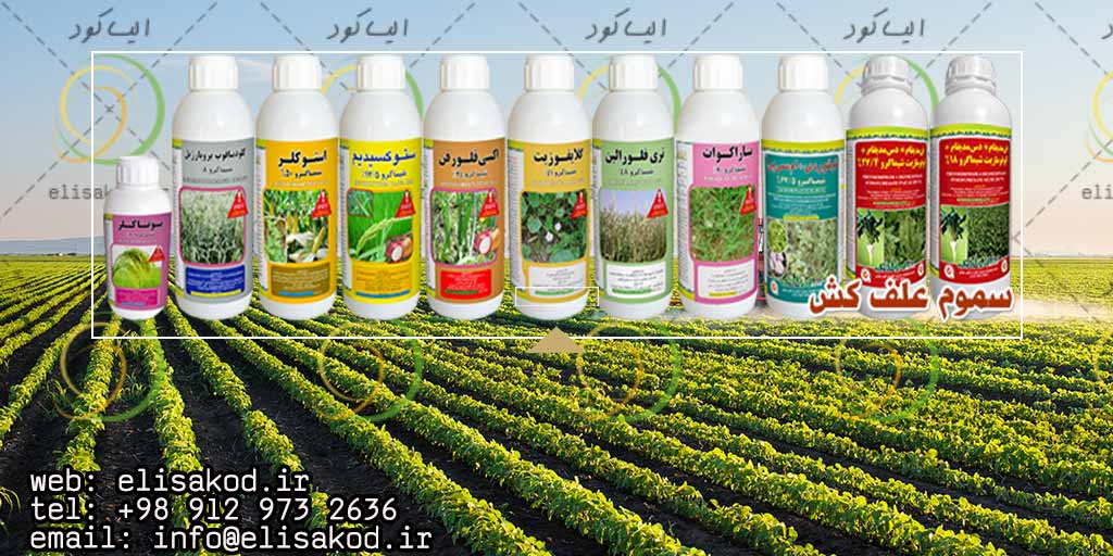 چالش علف هرز در کشت علوفه