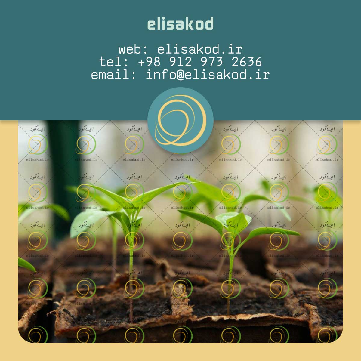 انواع کودهای کشاورزی