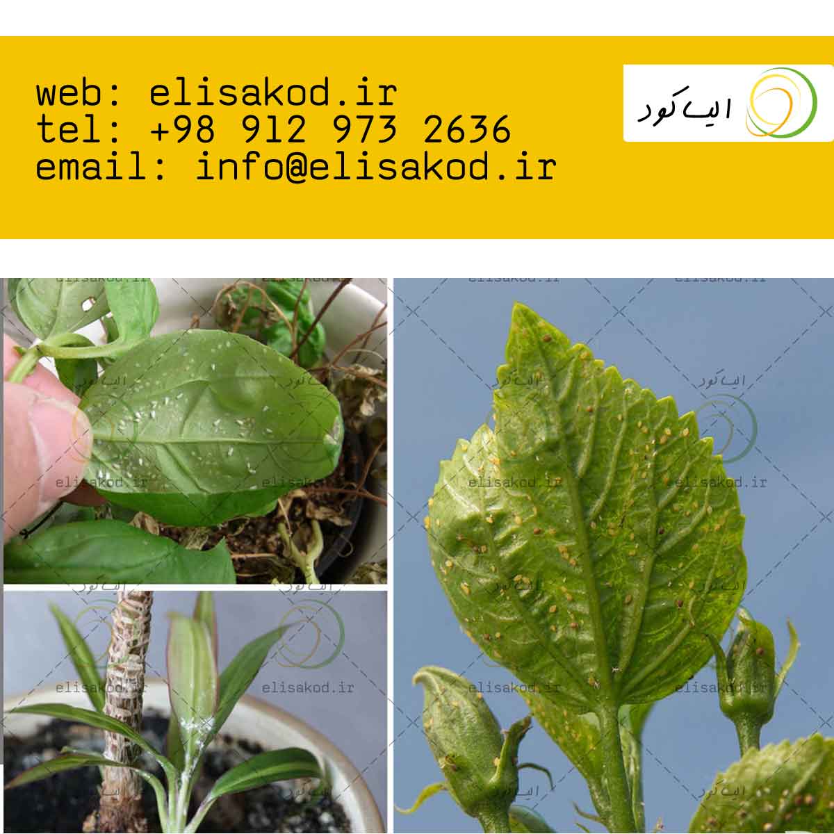 فروشنده سموم کشاورزی نانو در ایران