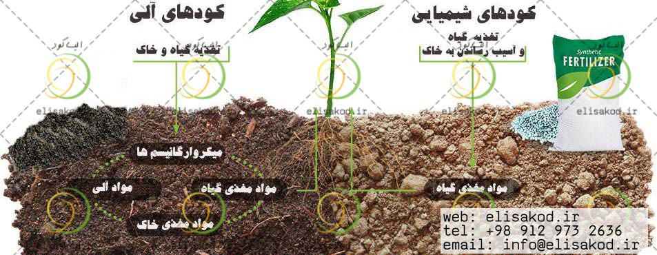 فروش انواع کود کشاورزی