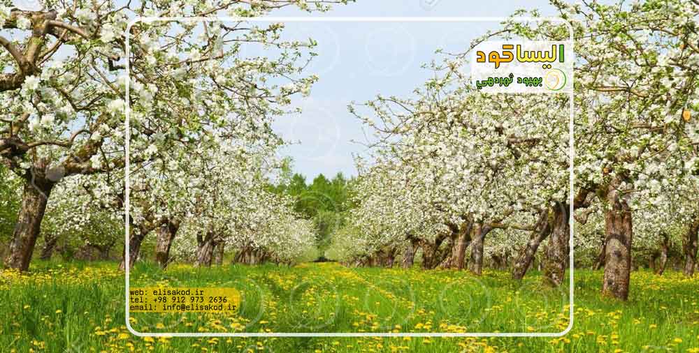 بهترین کود ارگانیک برای درختان میوه