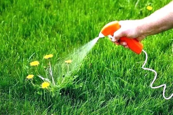فروش مولینت 71 % به مناسب ترین قیمت ها در کشور