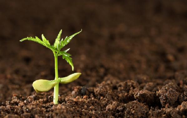 مزیت های استفاده از فنوکساپروپ پی اتیل 5/7 %
