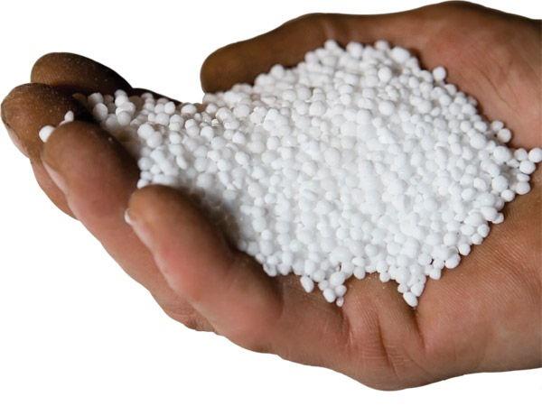 کود سولفات آمونیوم چگونه تولید می شود؟