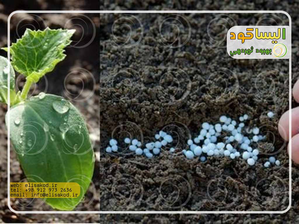 توزیع کنندگان کود نیترات کلسیم ارزان