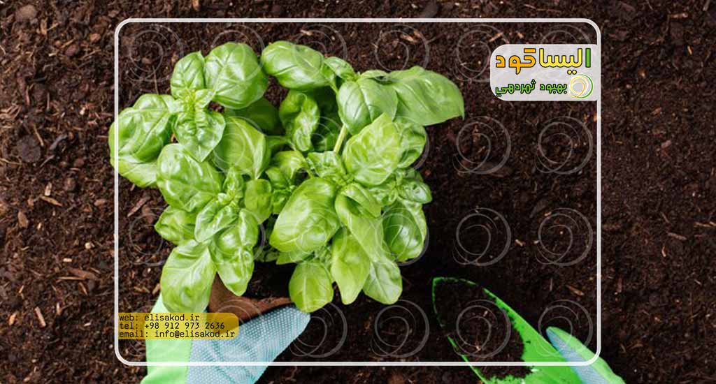 سولفات آمونیوم ارومیه چیست