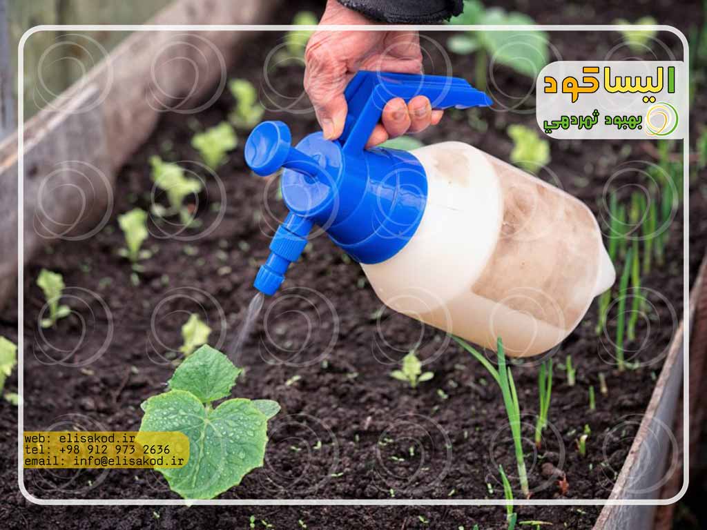 کود نیترات کلسیم