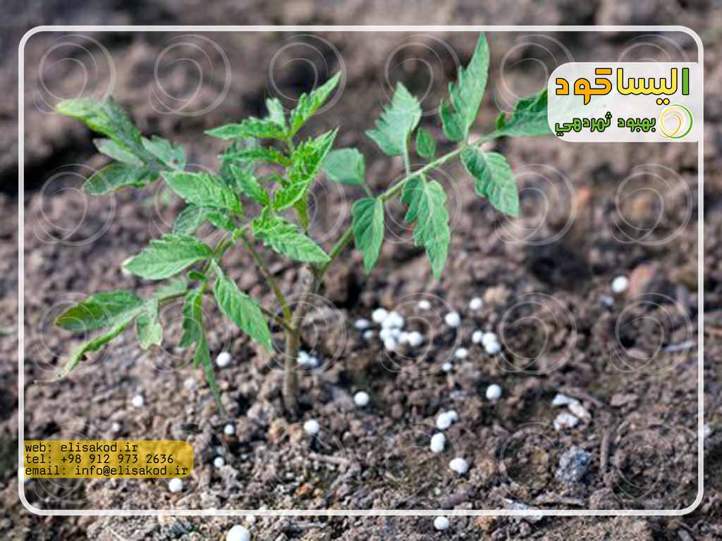 میزان مصرف کود سولفات در هکتار