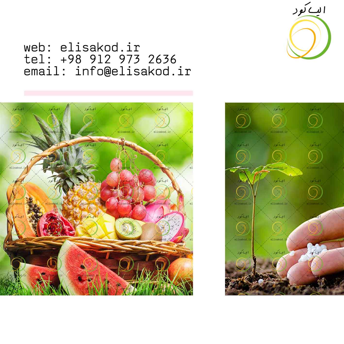 تولید کود ازته