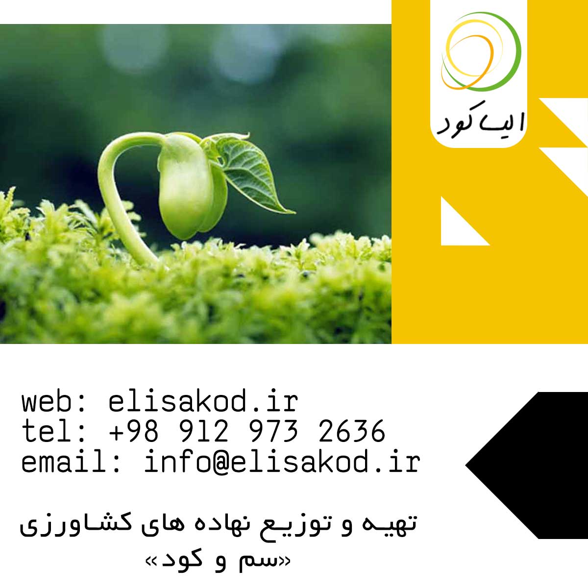 سولفات آمونیوم کرمان