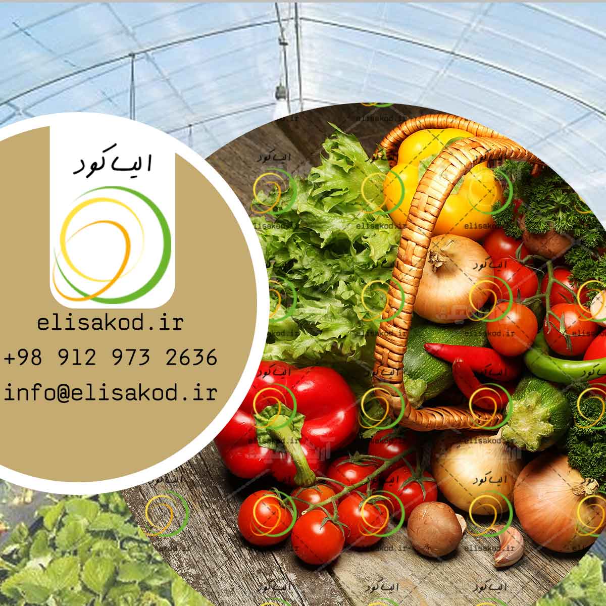 فواید استفاده سولفات آمونیوم در گلخانه