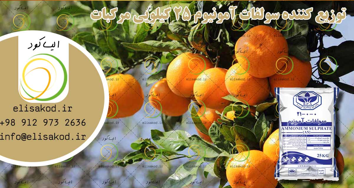 خرید سولفات آمونیوم مرکبات با قیمت درب کارخانه