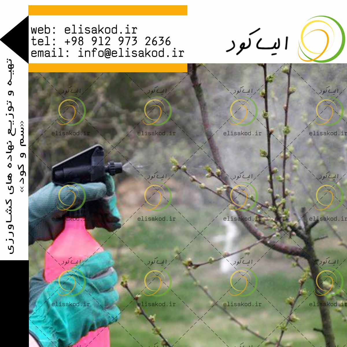 خرید روغن ولک با ارزان ترین قیمت