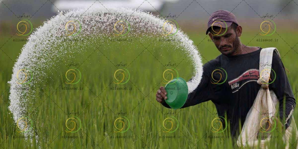 عرضه-کننده-کود-سوپر-فسفات