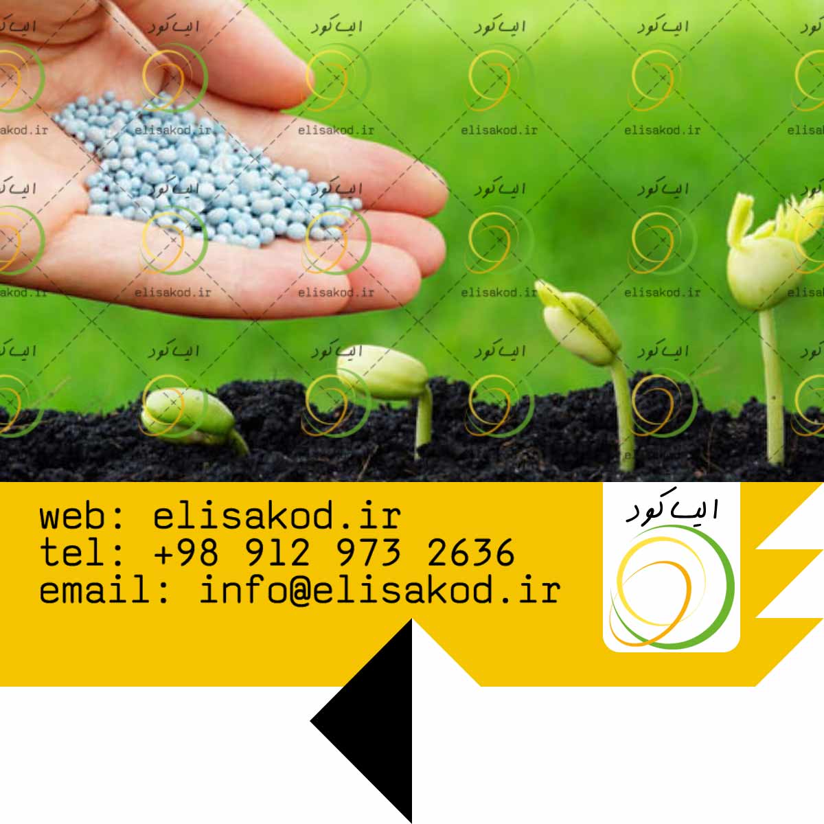 قیمت کود سولفات آمونیوم