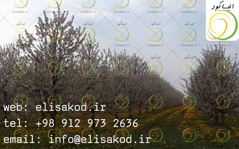 خرید روغن ولک