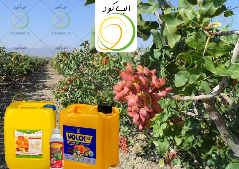 خواص روغن ولک