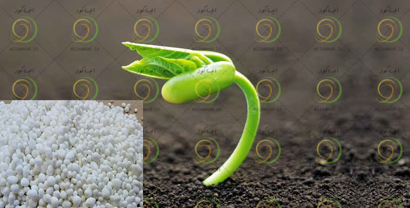 خواص کود سولفات آمونیوم