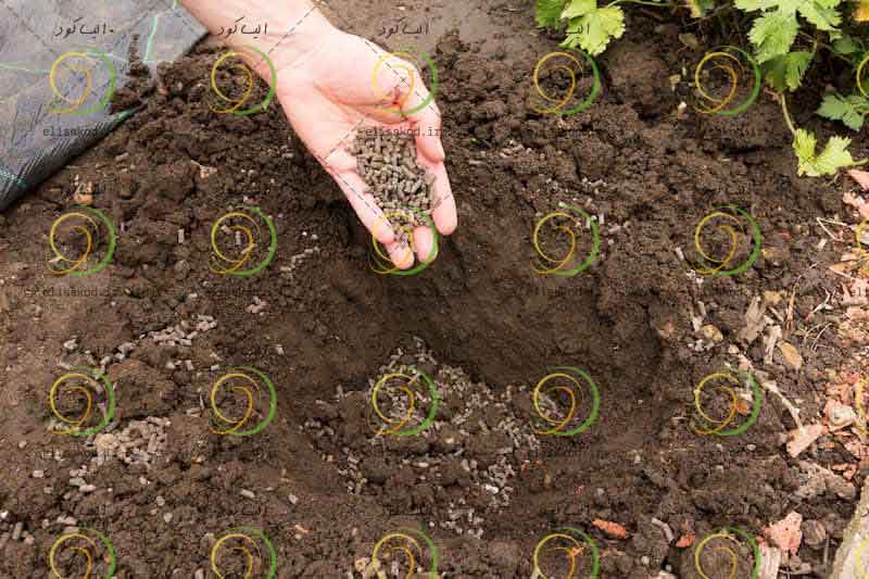 کود چالکود گرانوله