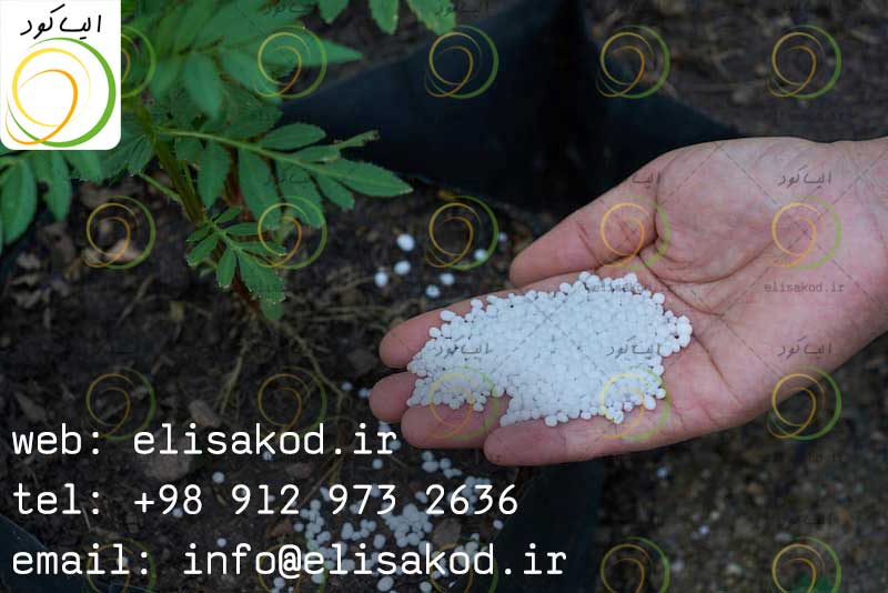 نیترات آمونیوم