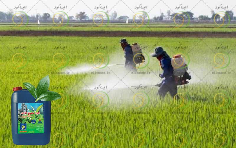 کود نیترات آمونیوم مایع