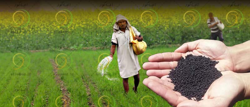 زمان مصرف کودهای پاییزه