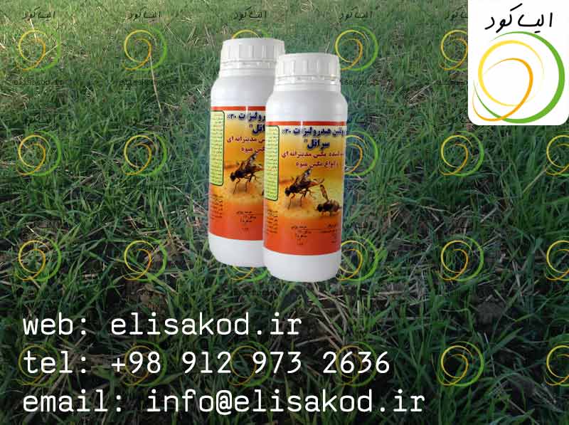 قیمت پروتئین هیدرولیزات