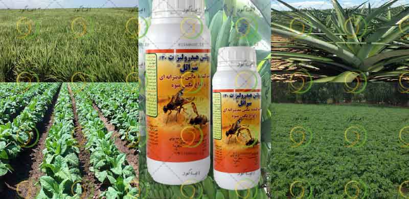 پروتئین هیدرولیزات چیست