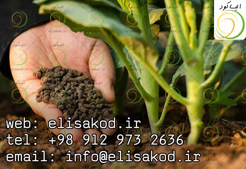 کود حیوانی در قزوین