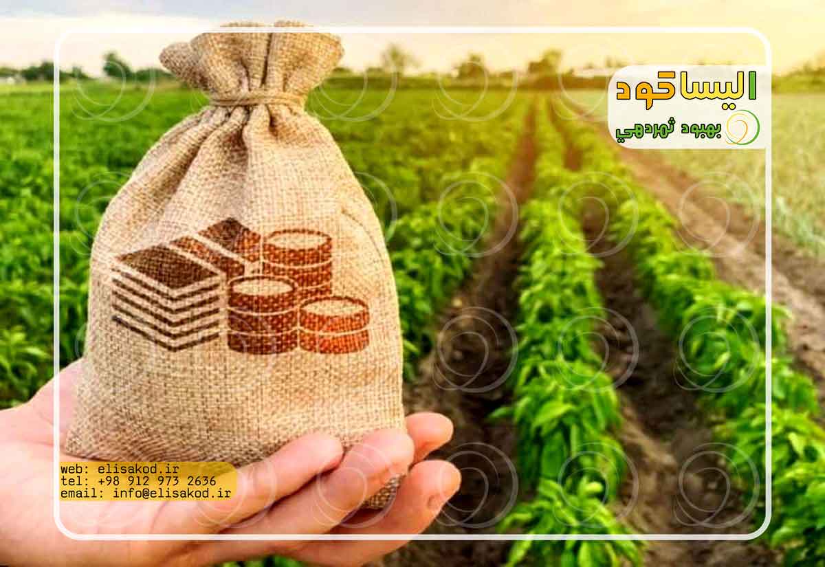 تضمین کیفیت