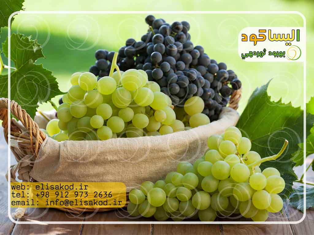 سولفات آمونیوم انگور