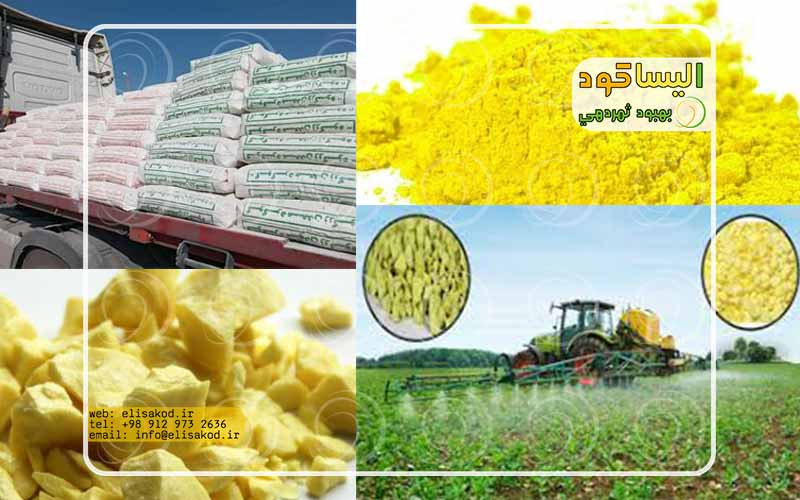 بسته بندی گوگرد معدنی زرکوه