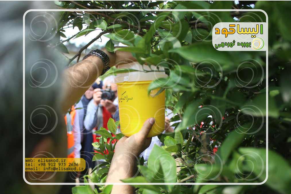 تولیدکنندگان پروتئین هیدرولیزات