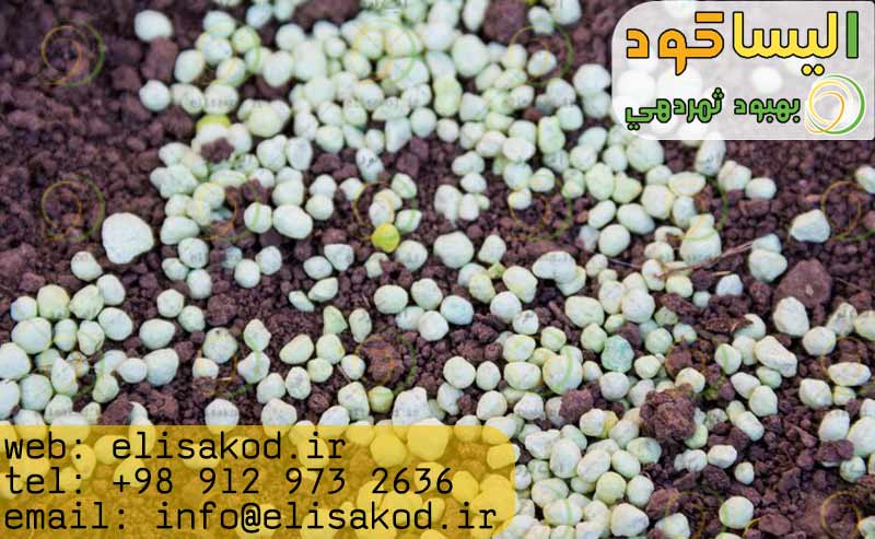 خرید-اینترنتی-سولفات-آمونیوم-گرانول