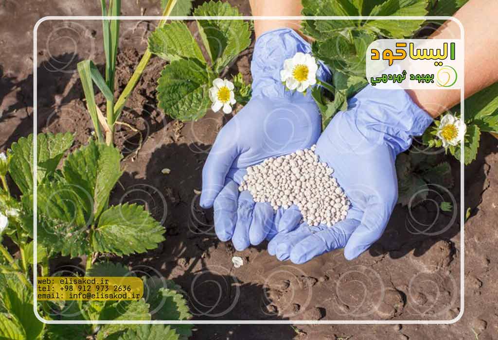 عملکرد-سولفات-مشهد