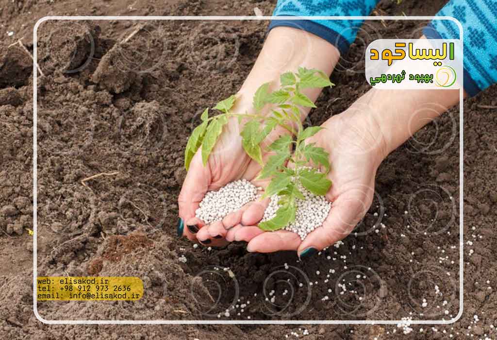 فرآیند تولید سولفات آمونیوم
