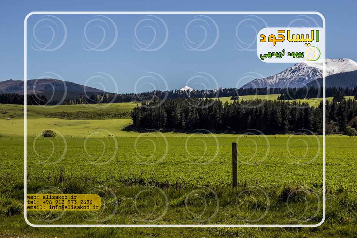 کارخانه تولیدی کود کشاورزی