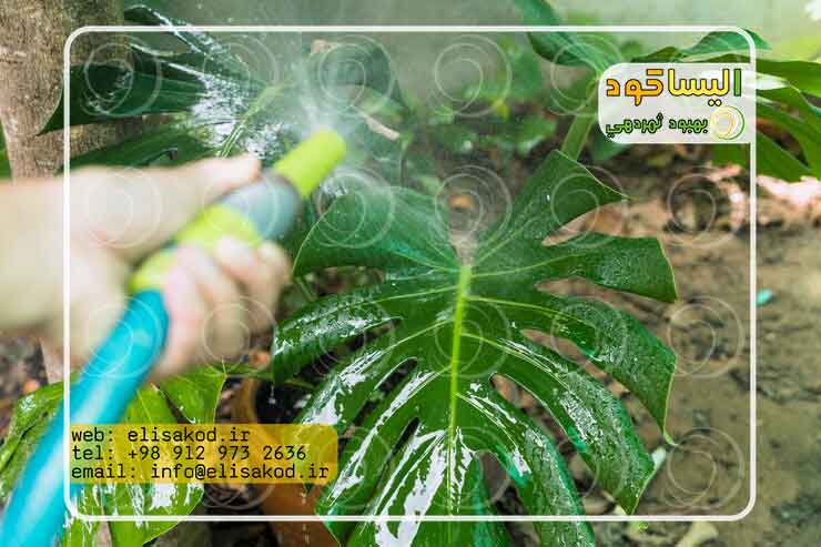 اسید هیومیک چه کاربردی دارد