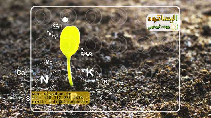 اسید هیومیک چیست