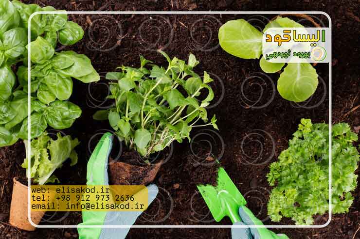 اسید هیومیک برای گل های آپارتمانی