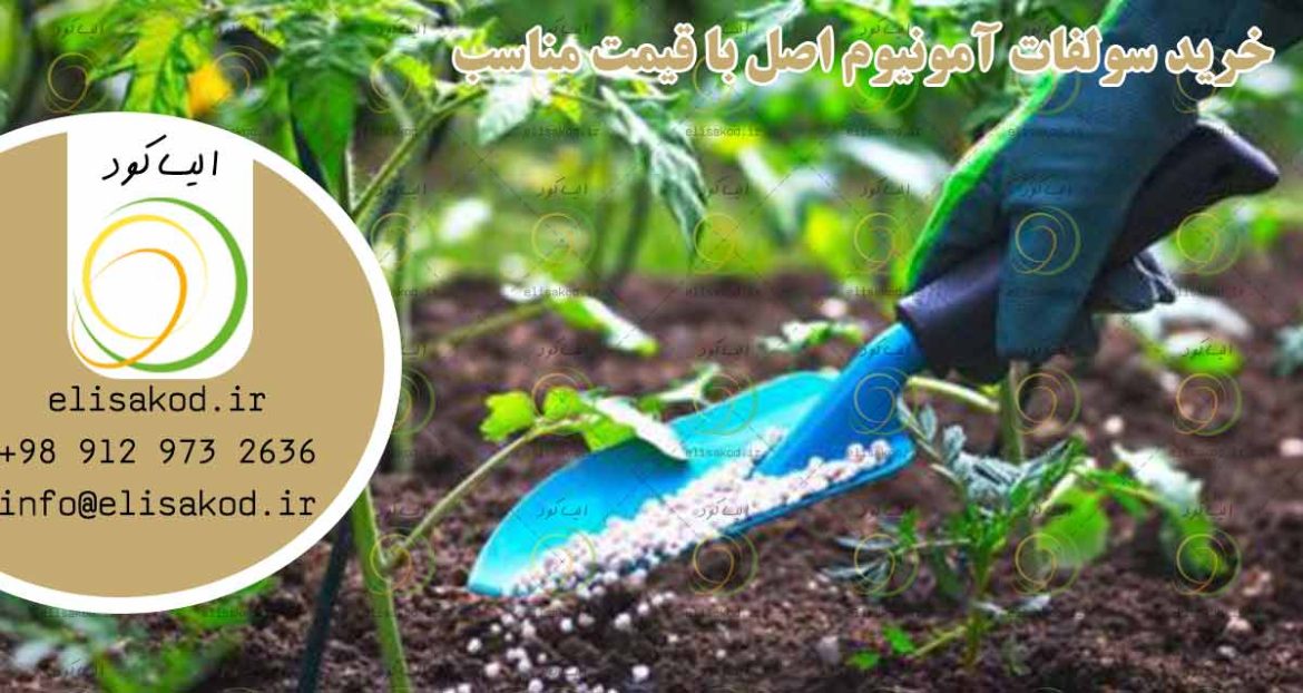 خرید سولفات آمونیوم اصل با قیمت مناسب