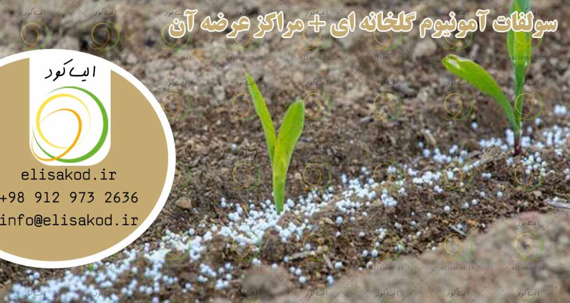 سولفات آمونیوم گلخانه ای + مراکز عرضه آن