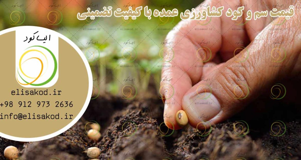 قیمت سم و کود کشاورزی عمده با کیفیت تضمینی