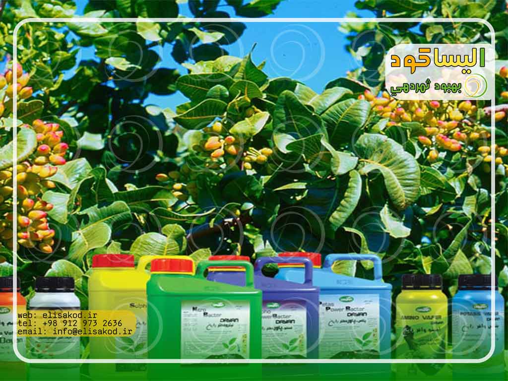 قیمت کود پسته در ایران