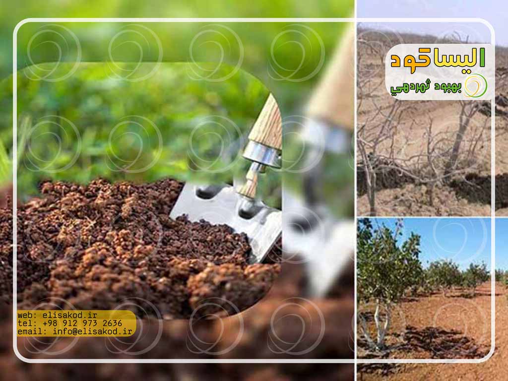 بازار انواع کود سولفات آمونیوم