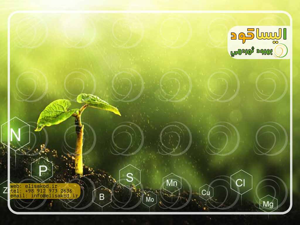 قیمت سولفات مشهد
