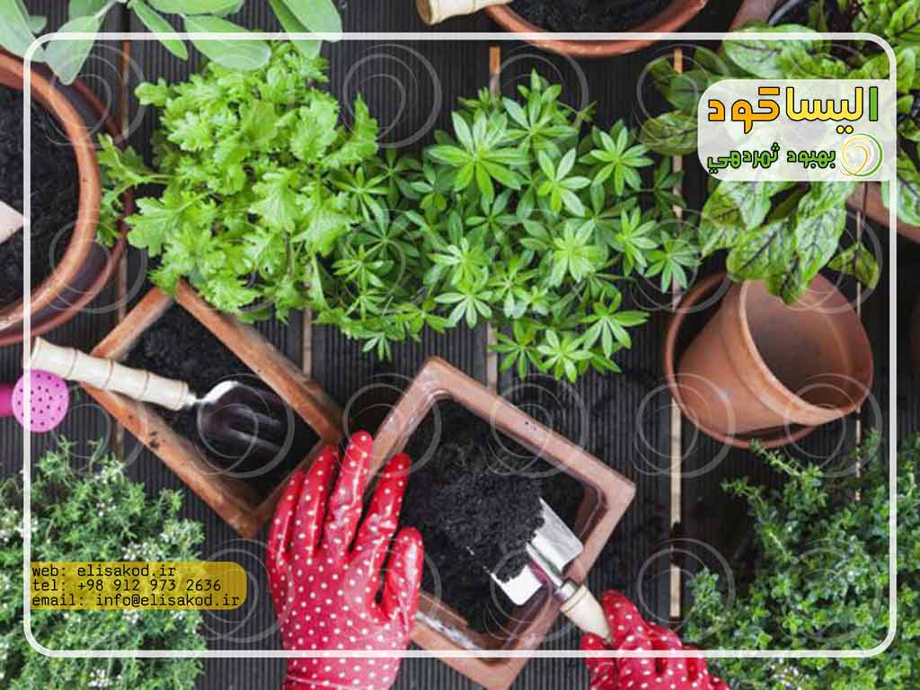 آدرس مراکز فروش کود شیمیایی در تهران