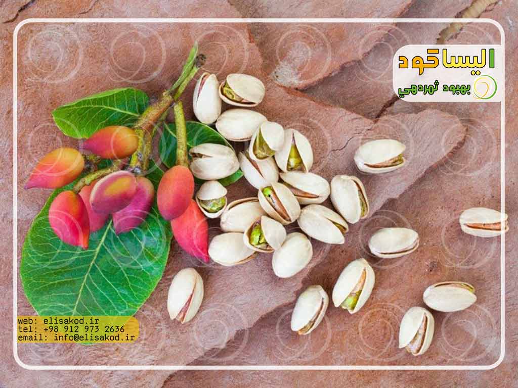 خرید کود پسته