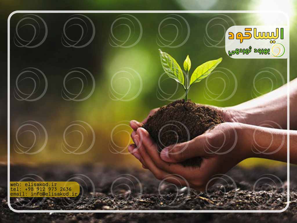 نحوه استفاده کود ارگانیک