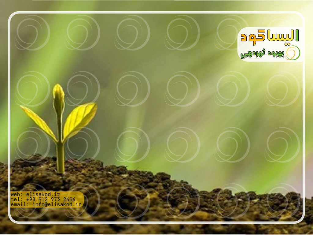 کود نانو کشاورزی